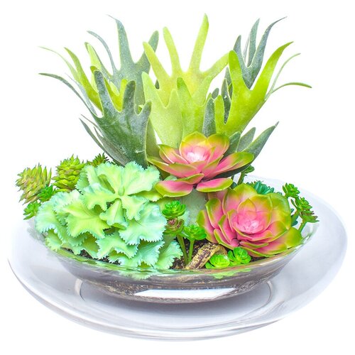 Искусственное растение Суккуленты в стеклянной вазе от Gerard de ros