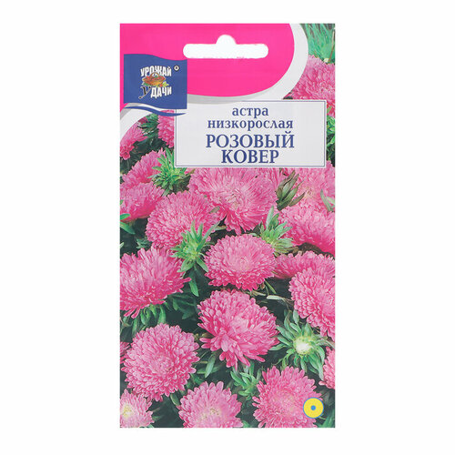 Семена цветов Астра низкая Розовый ковёр, 0,2 г