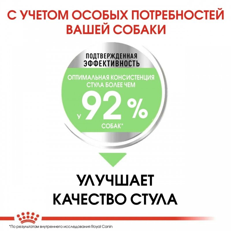 Royal Canin Mini Digestive Care Корм сухой для взрослых собак мелких размеров с чувствительным пищеварением, 1 кг