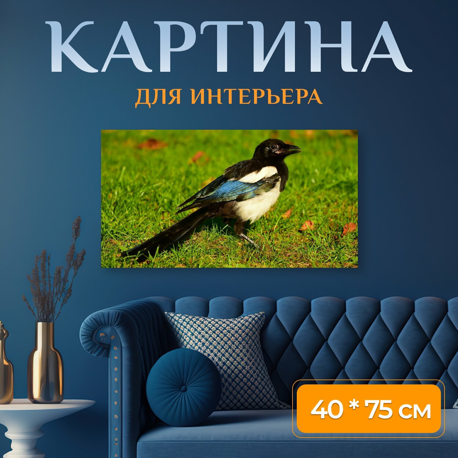 Картина на холсте "Сорока, евразийская сорока, птица" на подрамнике 75х40 см. для интерьера