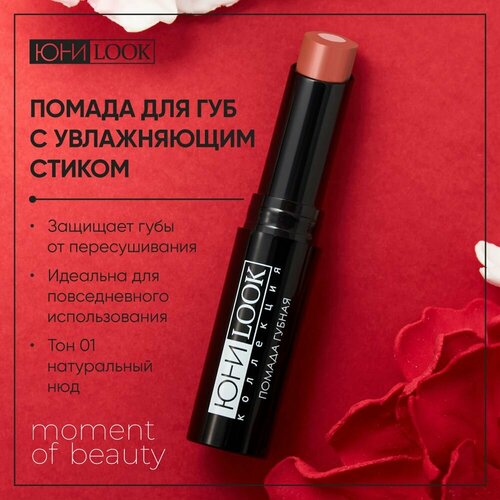 Помада для губ с увлажняющим стиком 193₽