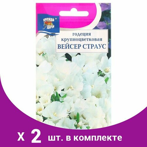 семена годеция вейсер страус 0 3г для дачи сада огорода теплицы рассады в домашних условиях Семена цветов Годеция кр. Вейсер Страус 0,1 г. (2 шт)