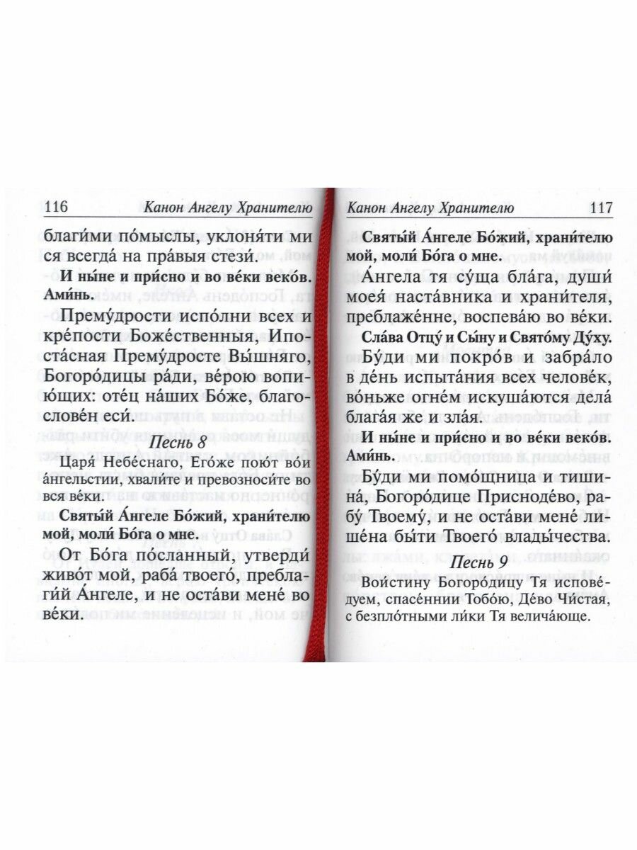 Молитвослов с молитвами о болящих. Православный - фото №17