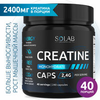 SOLAB Креатин моногидрат в капсулах Creatine Monohydrate, 240 капсул, спортивное питание для набора массы тела