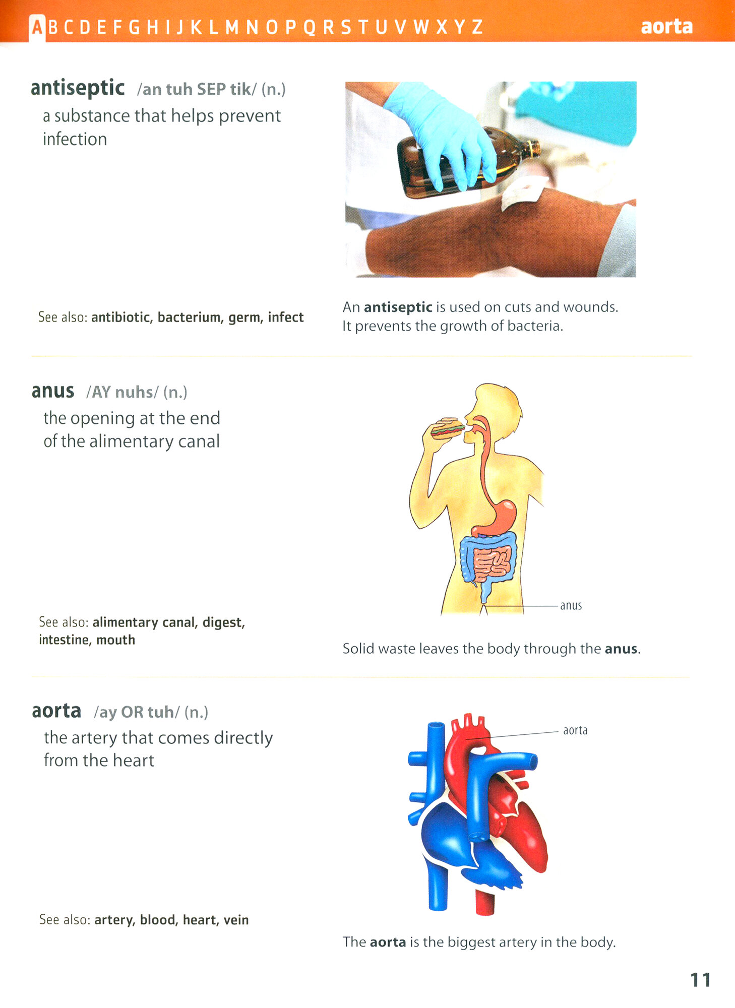 Oxford Illustrated Science Dictionary - фото №2