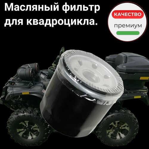 Масляный фильтр для квадроцикла P003000152000000 450₽