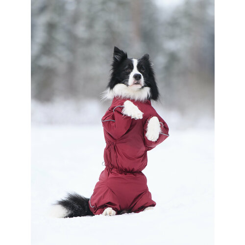 Комбинезон для собак, утепленный, водоотталкивающий, на флисе, р. 40-1 самка (бордо)