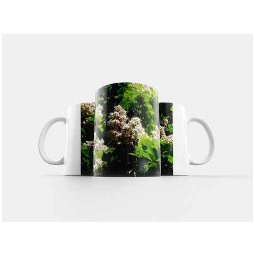 фото Кружка "конский каштан обыкновенный, каштан, расцветает" 320 мл lotsprints