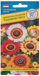 Семена цветов Хризантема Радужная Смесь РС-1, О, 0,05 г
