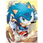 Картина по номерам на холсте Игра Соник Sonic Синий Ёж - 7485 В 30x40 - изображение