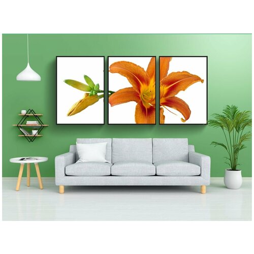 фото Набор модулных постеров для интерьера "лилейник, лили, лилия" 60x90 см. в тубусе, без рамки lotsprints