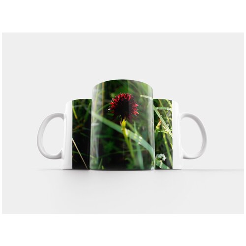 фото Кружка "капусты черной розы, nigritella nigra, орхидея" 320 мл lotsprints