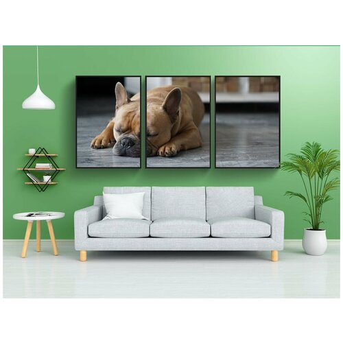 фото Набор модулных постеров для интерьера "французский бульдог, собака, домашнее животное" 60x90 см. в тубусе, без рамки lotsprints
