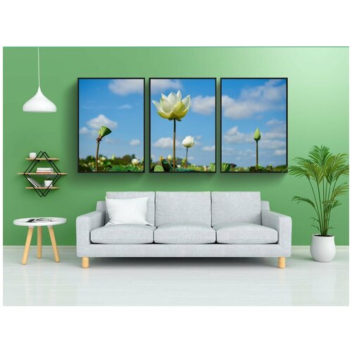 фото Набор модулных постеров для интерьера "lotus, цветок, салон красоты" 60x90 см. в тубусе, без рамки lotsprints