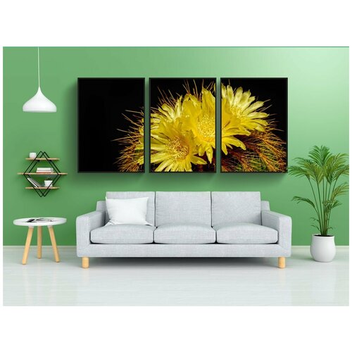 фото Набор модулных постеров для интерьера "природа, завод, кактус" 60x90 см. в тубусе, без рамки lotsprints