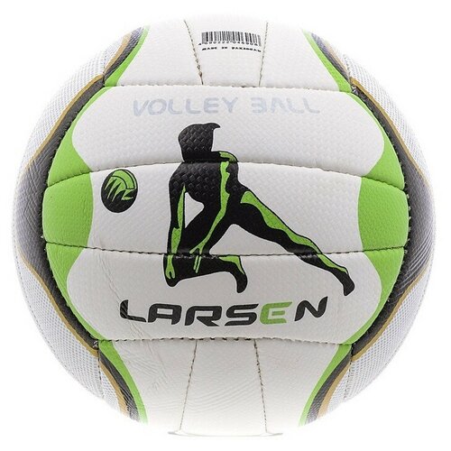 фото Мяч волейбольный пляжный larsen pro tour 235994
