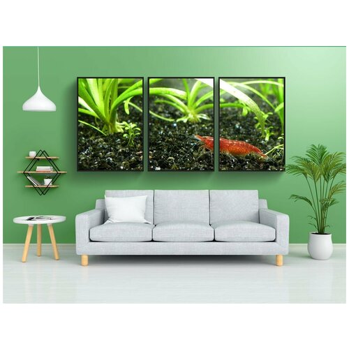 фото Набор модулных постеров для интерьера "креветка, вишни креветок, аквариум" 60x90 см. в тубусе, без рамки lotsprints