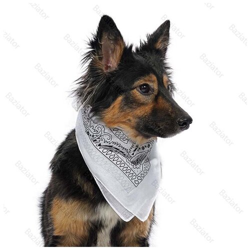 Бандана платок для собак на шею хлопковая, белая