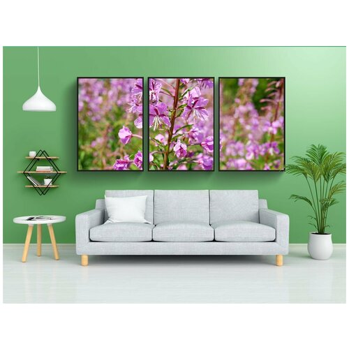 фото Набор модулных постеров для интерьера "кипрей узколистный, цветок, цвести" 60x90 см. в тубусе, без рамки lotsprints