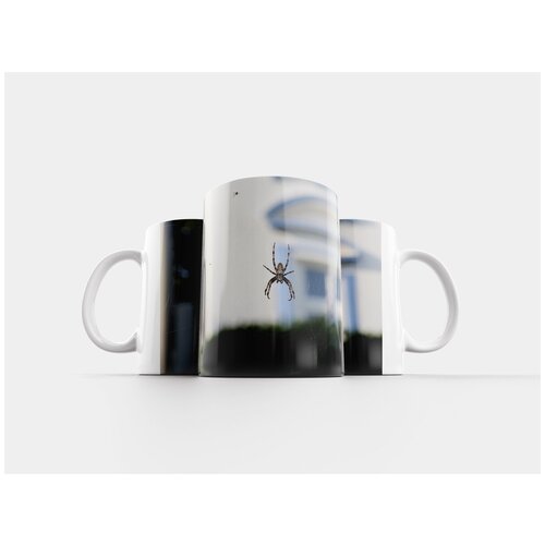 фото Кружка "паук, araneus, прядение" 320 мл lotsprints