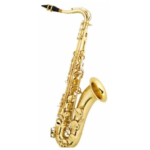 Stephan Weis TS-100G тенор-саксофон, корпус-латунь, лак-золото, облегчённый футляр