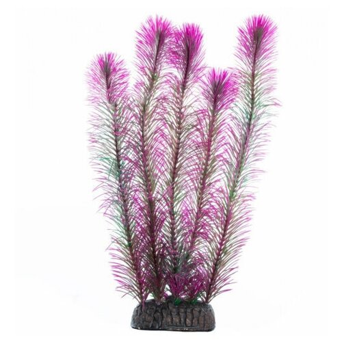 Растение Перистолистник фиолетовый, 300мм