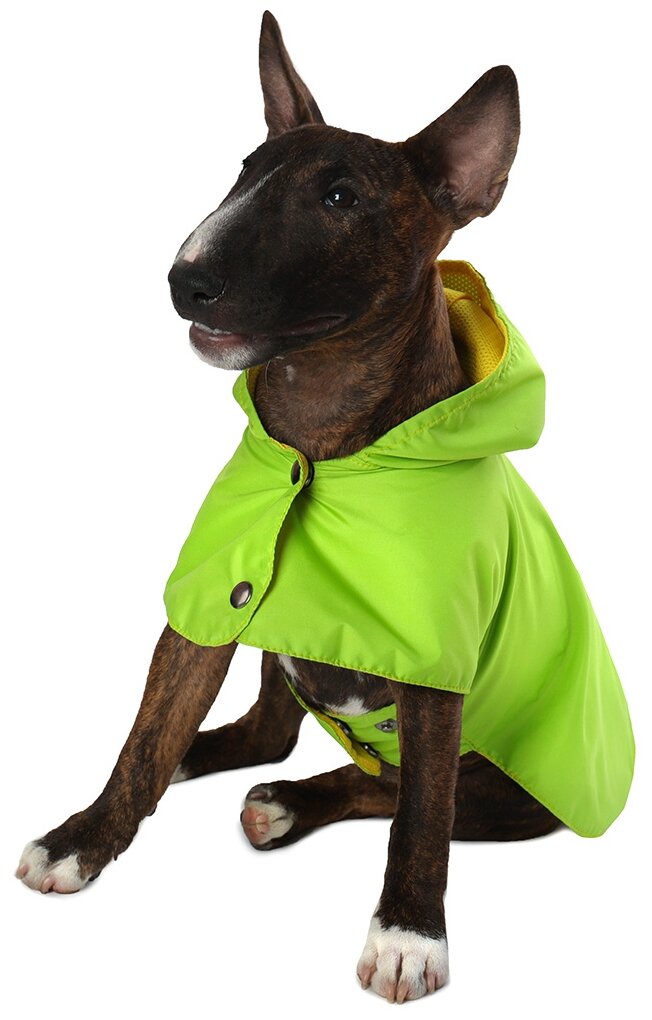 Дождевик для собак Монморанси "Стиль", зеленый, размер М, длина спины 26 см. - фотография № 3