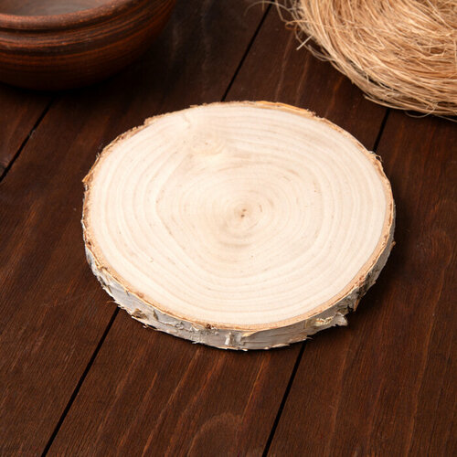 Срез Берёзы 15-17 см 405₽