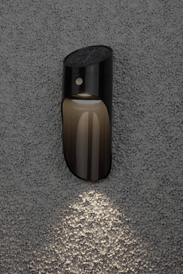 Фасадный светильник светодиодный ERAFS050-43, 12 Вт, цвет арматуры: черный, цвет плафона черный.