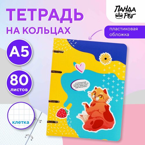 Тетрадь на кольцах ПандаРог Творческие Котики, А5, 80 листов, пластиковая обложка