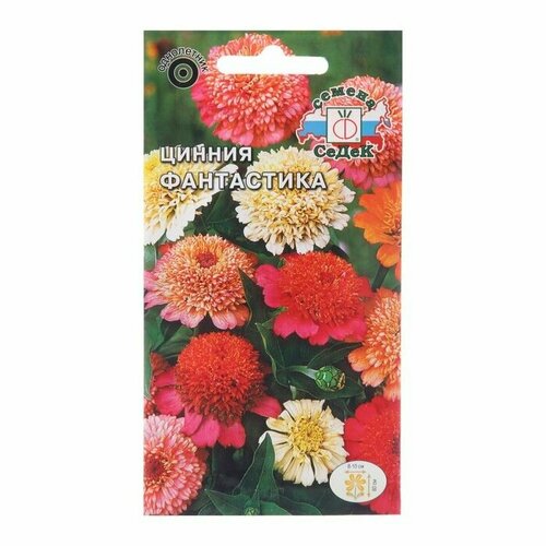 Семена цветов Цинния Фантастика, ( 1 упаковка ) саженцы шаровидной хризантемы микс цветов набор 24 укорененных черенка