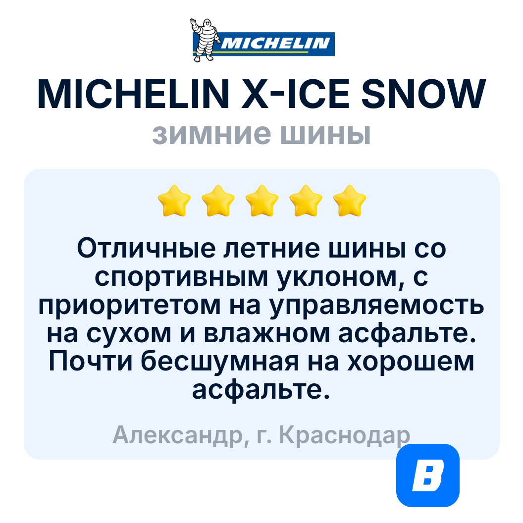 Зимняя шина Michelin - фото №4