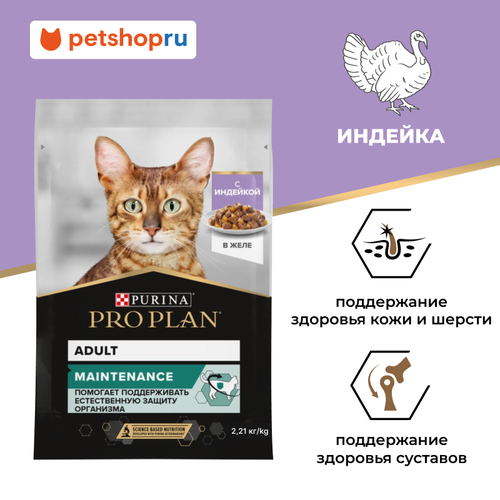 Purina Pro Plan влажный корм для взрослых кошек, с индейкой в желе, MAINTENANCE, 85г*26 шт.