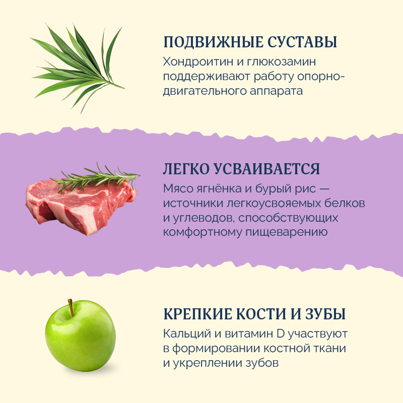 AVANCE holistic набор: Полнорационный сухой корм для взрослых собак крупных пород, с ягненком, индейкой и бурым рисом, 2 шт*3 кг — фото 1