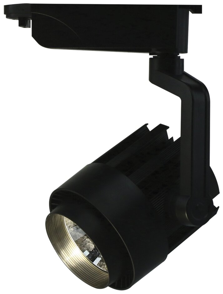 Светильник Arte Lamp A1630PL-1BK VIGILE