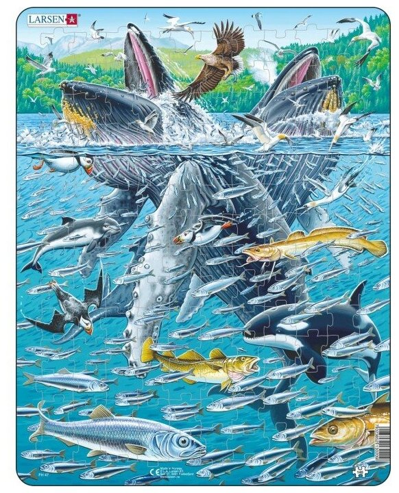 Пазл Горбатые киты в стае сельди 140 элементов