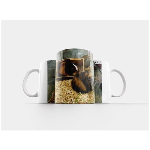 фото Кружка "морские свинки, морская свинка, два" 320 мл lotsprints