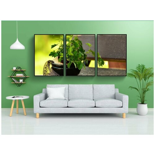 фото Набор модулных постеров для интерьера "мимоза, завод, маленькие растения" 60x90 см. в тубусе, без рамки lotsprints