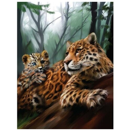 Алмазная вышивка на раме 30x40 с полным заполнением 