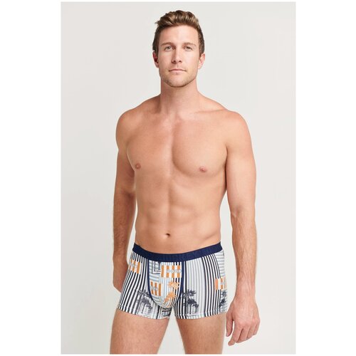 фото Трусы боксеры 1904211h jockey (разноцветный), 48-50