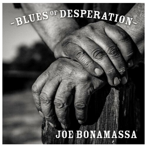 Joe Bonamassa: Blues of Desperation