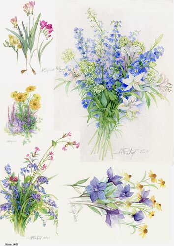 Изображение товара Рисовая бумага для декупажа карта салфетка А4 салфетка 0635 цветы винтаж крафт Milotto