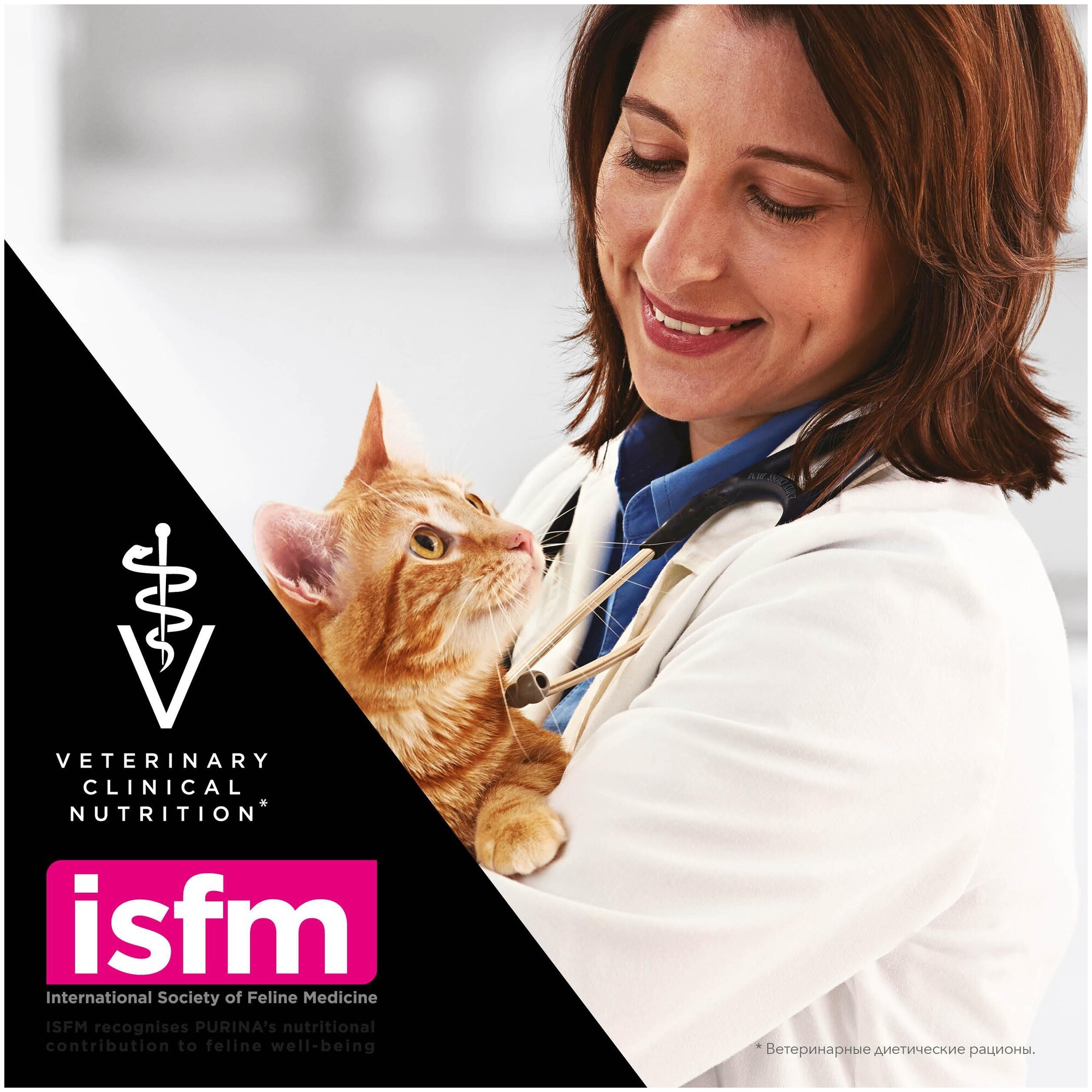 PURINA Veterinary Diets Feline UR, Urinary консервы для кошек, при мочекаменной болезни с курицей в/у 85г - фотография № 10