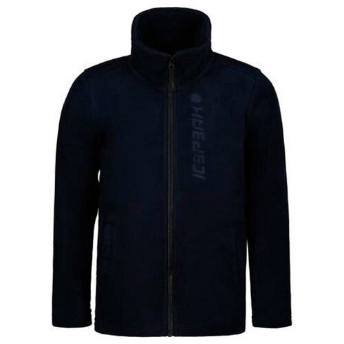 Флис горнолыжный детский Icepeak Kooskia Jr Dark Blue (Рост:116)