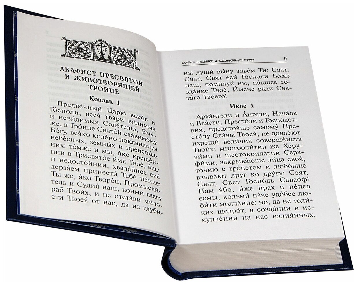 Акафисты читаемые в болезнях, скорбях и особых нуждах - фото №3