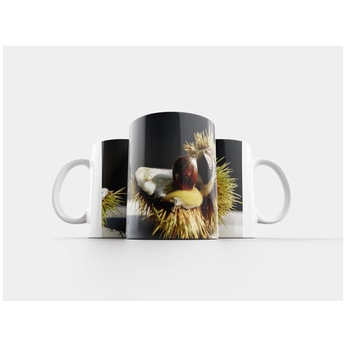 фото Кружка "каштан, дерево, падение" 320 мл lotsprints