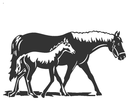Наклейка Лошадь и жеребёнок. 200х200 мм