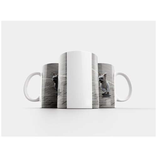 фото Кружка "собака, гонки, движение" 320 мл lotsprints