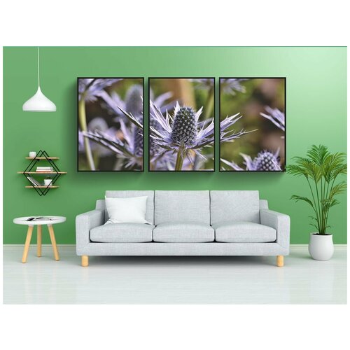 фото Набор модулных постеров для интерьера "чертополох, синий чертополох, пчела" 60x90 см. в тубусе, без рамки lotsprints