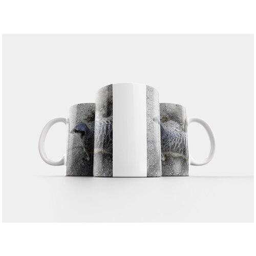 фото Кружка "сурикат, дикий, зоопарк" 320 мл lotsprints